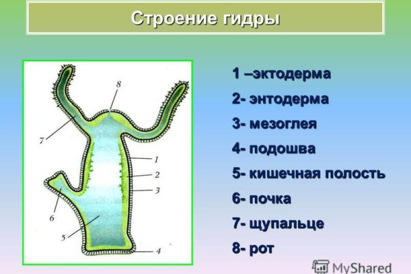 Кракен сайт vtor run